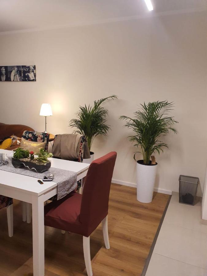 Lejlighed Apartament Dluga Grobla 8